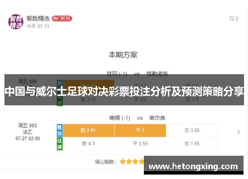 中国与威尔士足球对决彩票投注分析及预测策略分享